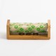 Ocb Bamboo Rolling Machine