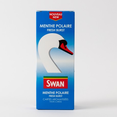Cartes aromatisées Swan menthe polaire x25