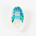Billes Aroma King menthe glaciale x100
