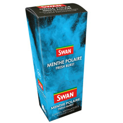 Cartes aromatisées Swan menthe polaire x25