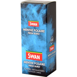 Cartes aromatisées Swan menthe polaire x25